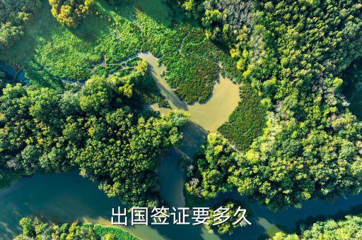 出国签证要多久