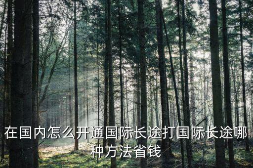 在国内怎么开通国际长途打国际长途哪种方法省钱