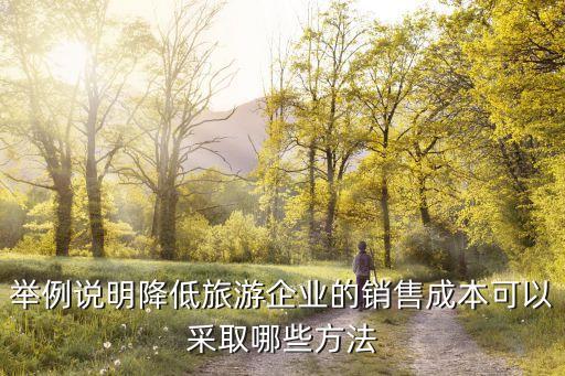 国际旅游业如何做成本，举例说明降低旅游企业的销售成本可以采取哪些方法