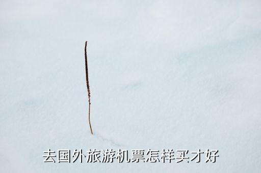 去国外旅游机票怎样买才好