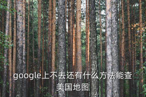 google上不去还有什么方法能查美国地图