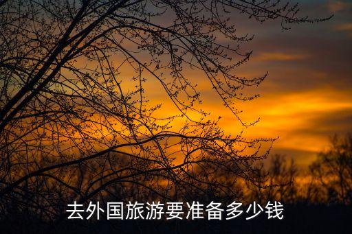 去外国旅游要准备多少钱
