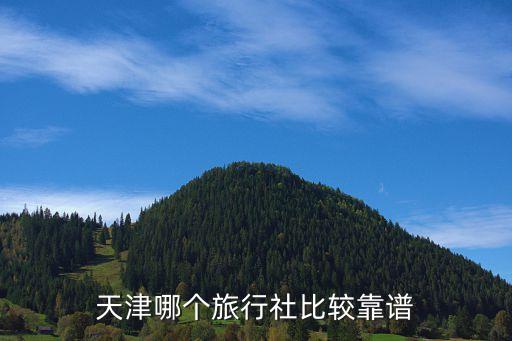 津行国际旅游公司怎么样，求天津旅行社排名