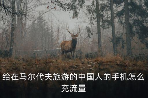 国外旅游怎么充流量卡，给在马尔代夫旅游的中国人的手机怎么充流量