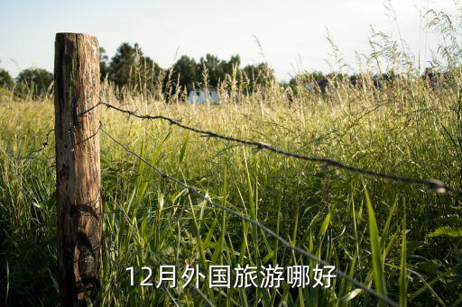 12月外国旅游哪好