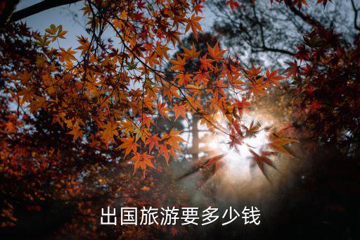 在国外旅游一年需要多少钱，去美国待一年需要多少钱