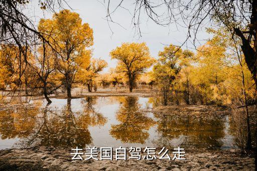 旅游怎么把车开到国外，去美国自驾怎么走