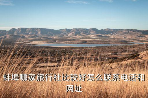 蚌埠哪家旅行社比较好怎么联系电话和网址