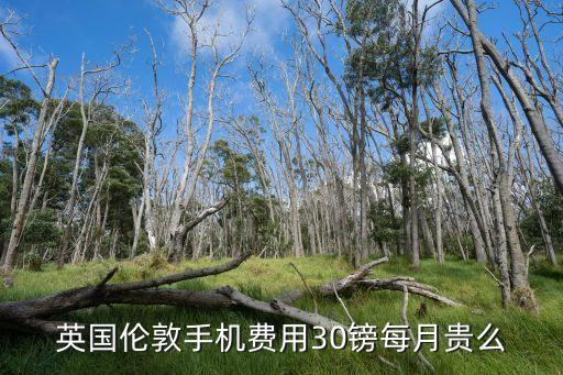 英国伦敦手机费用30镑每月贵么