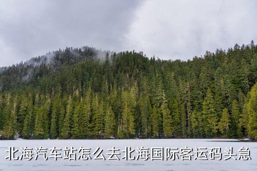 北海汽车站怎么去北海国际客运码头急