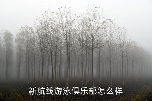 山东新航线国际旅游怎么样，新航线游泳俱乐部怎么样