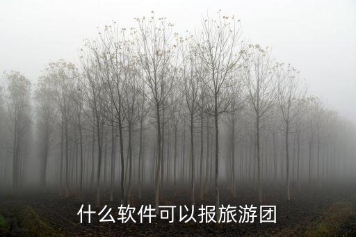 什么软件可以报旅游团