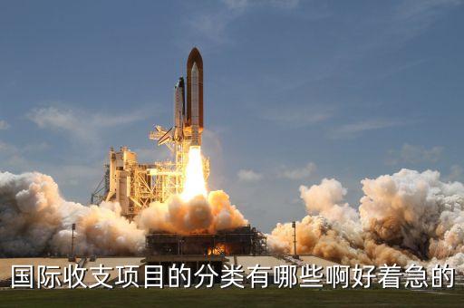 国际收支项目的分类有哪些啊好着急的