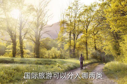 国际旅游可以分入哪两类