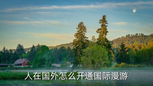 人在国外怎么开通国际漫游