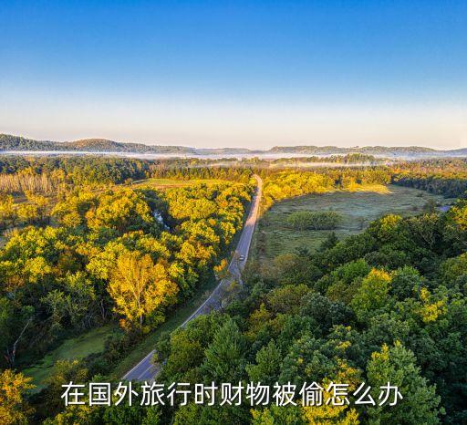 在国外旅行时财物被偷怎么办