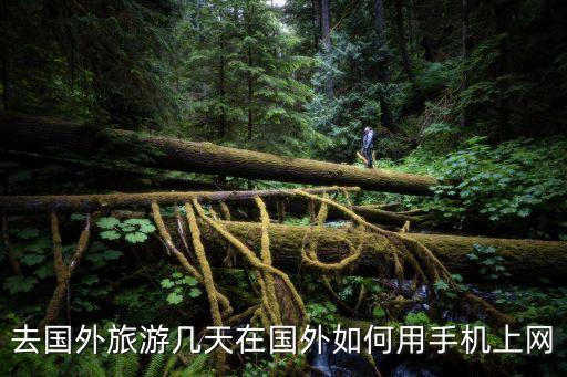 去国外旅游几天在国外如何用手机上网
