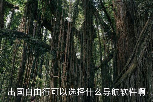 去国外旅游如何导航，出国旅游什么导航比较靠谱