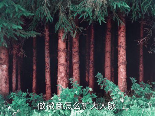 做微商怎么扩大人脉