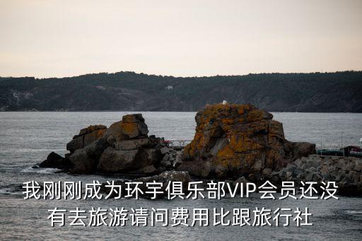 我刚刚成为环宇俱乐部VIP会员还没有去旅游请问费用比跟旅行社
