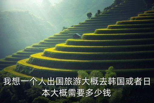 我想一个人出国旅游大概去韩国或者日本大概需要多少钱