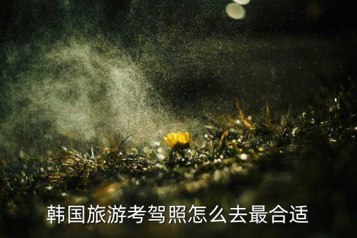 韩国旅游考驾照怎么去最合适