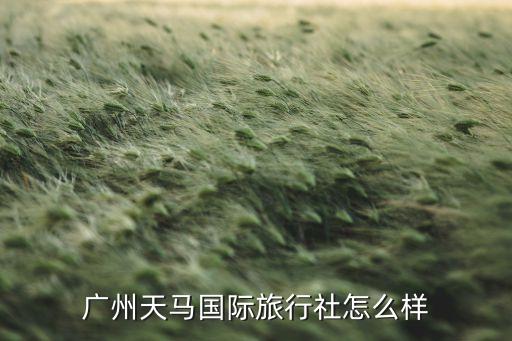 广州天马国际旅行社怎么样