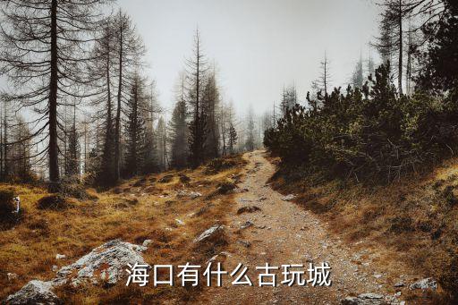海口有什么古玩城