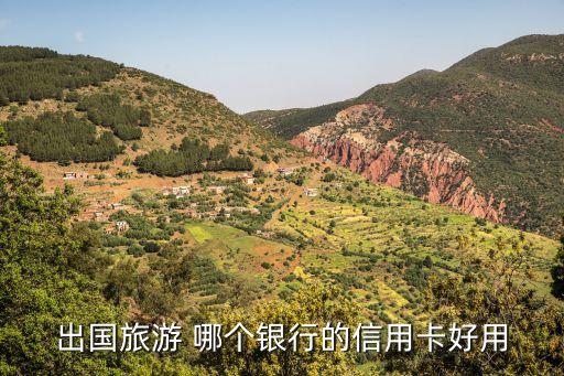 国际旅游信用卡哪个好，出国旅游 哪家银行的信用卡最好