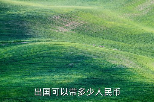 旅游去国外能带多少现金，出国旅游可以带多少外汇现金