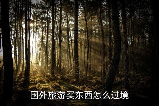 国外旅游买东西怎么过境