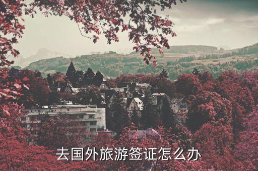 去国外旅游签证怎么办