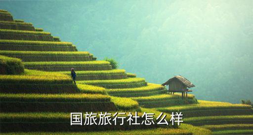 国旅旅行社怎么样