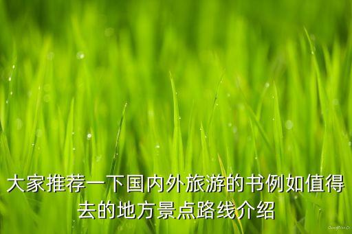 大家推荐一下国内外旅游的书例如值得去的地方景点路线介绍