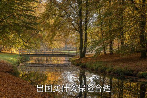出国买什么保险合适