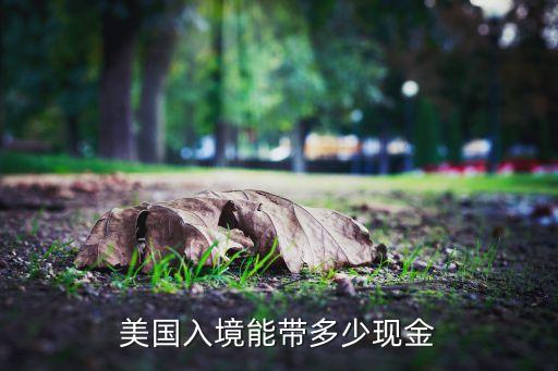美国入境能带多少现金