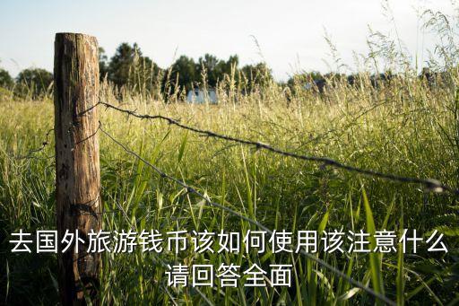 国外旅游如何处理金钱，去国外旅游钱币该如何使用该注意什么请回答全面