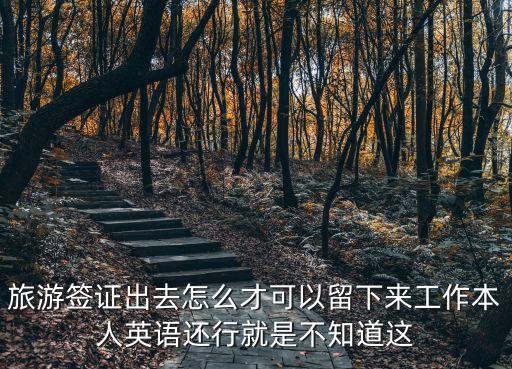 如何通过旅游留在国外上班，旅游签证出去怎么才可以留下来工作本人英语还行就是不知道这