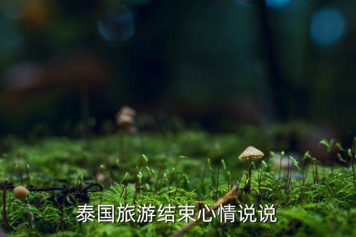 泰国旅游结束心情说说