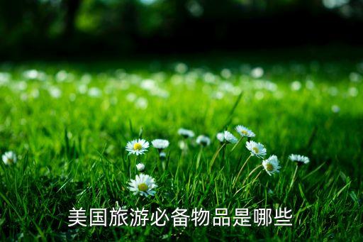 美国旅游必备物品是哪些