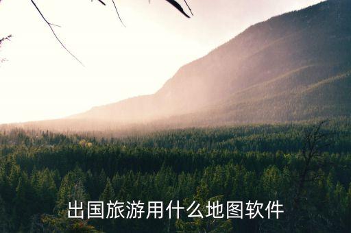 国外旅游怎么看景区地图，出国旅游用什么地图软件