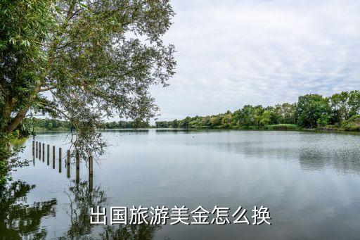 国外旅游入境换钱怎么办，出国旅游如何兑换外币