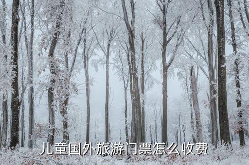 儿童国外旅游门票怎么收费