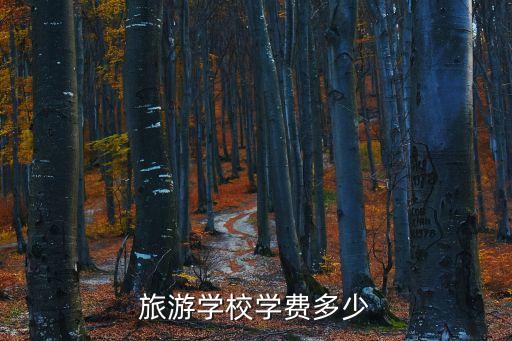 旅游学校学费多少