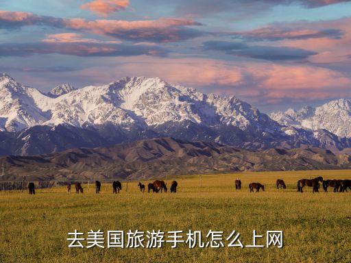 去国外旅游手机如何上网，出国旅游手机怎么上网