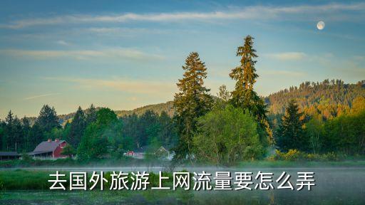 去国外旅游流量怎么办理，去国外旅游上网流量要怎么弄