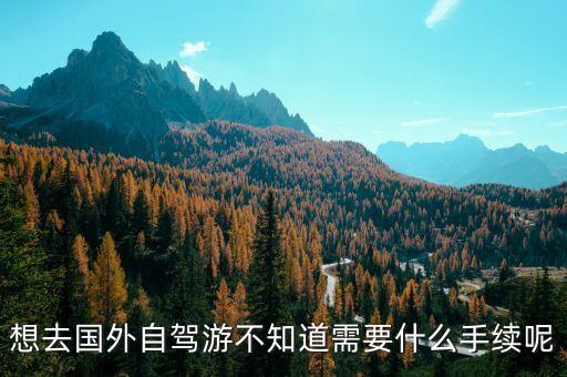 想去国外自驾游不知道需要什么手续呢