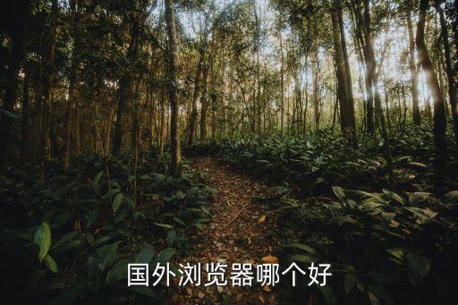 国外浏览器哪个好