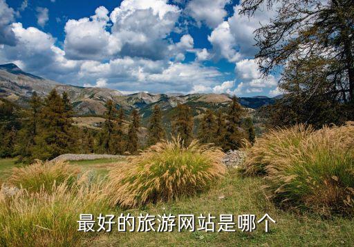 国际旅游哪个网站比较靠谱，全世界有哪些知名的旅游网站