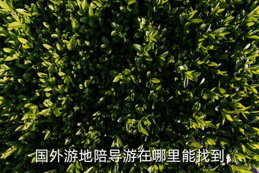 国外游地陪导游在哪里能找到